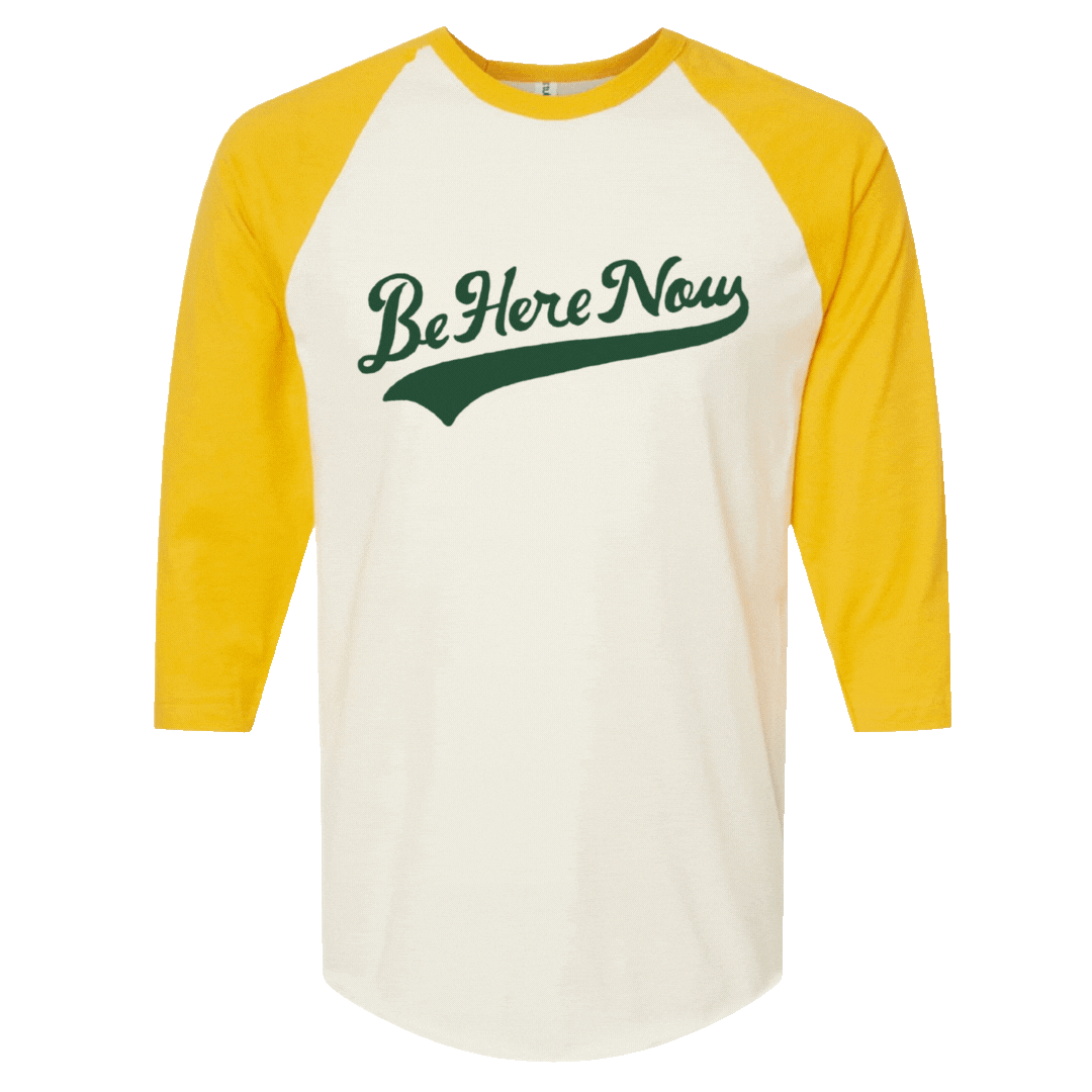Ram Dass Be Here Now Raglan