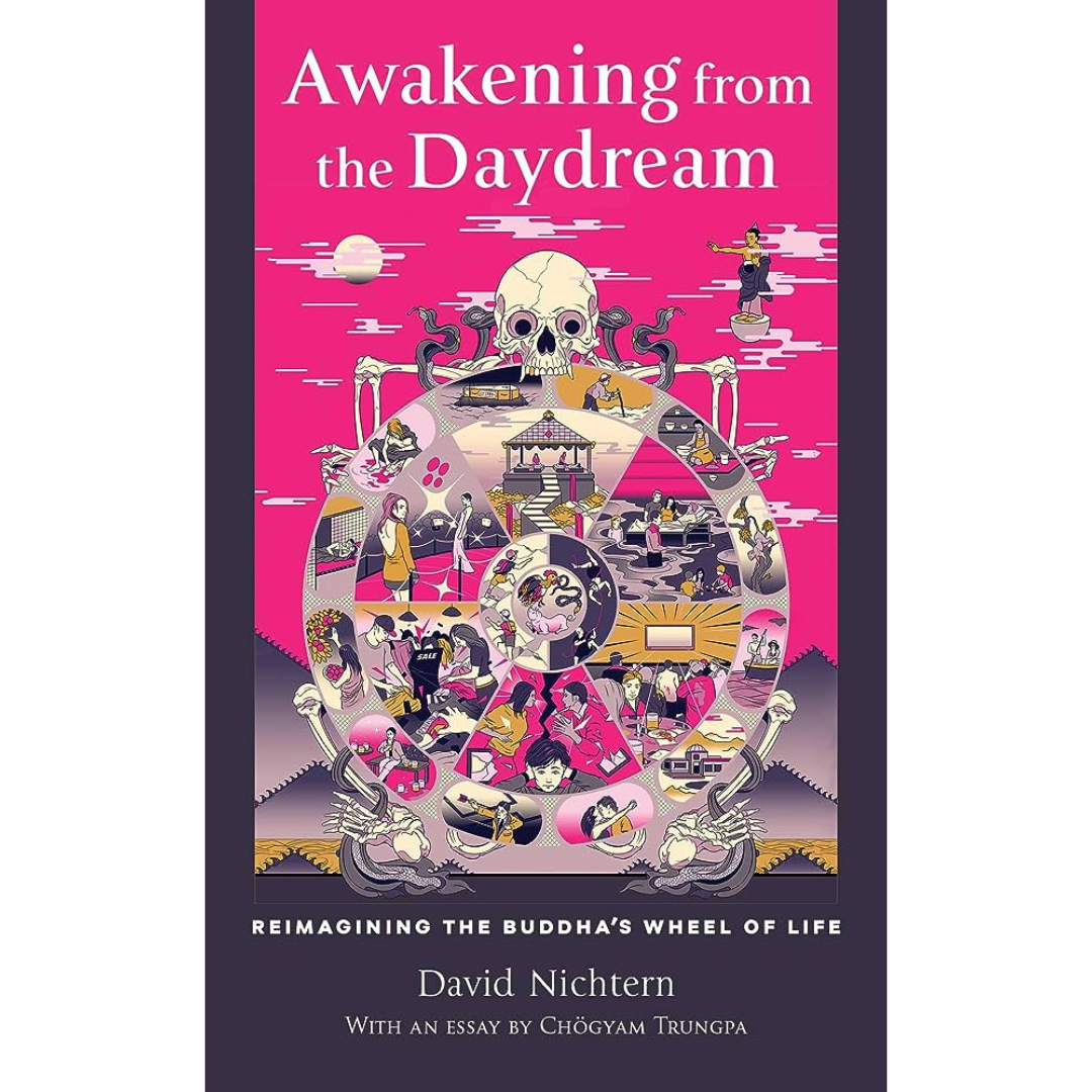 Awakening from the Daydream Book Cover