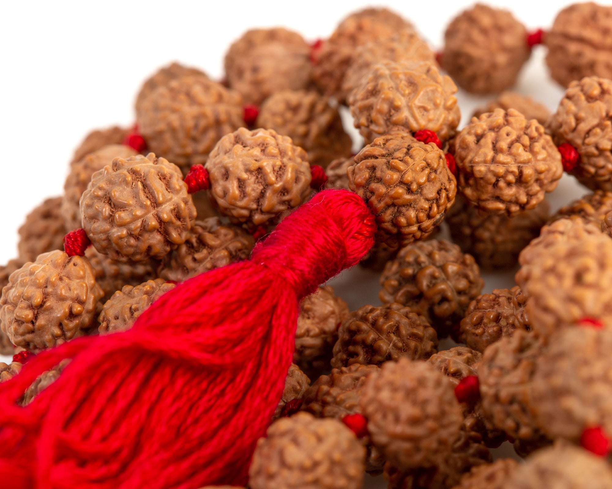 Rudraksha Mala