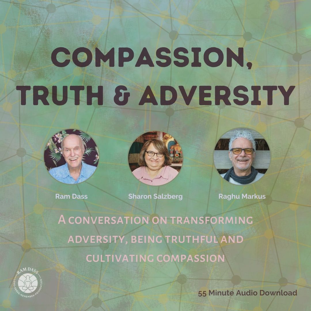 Compassion, Truth &amp; Adversity (Audio Download)